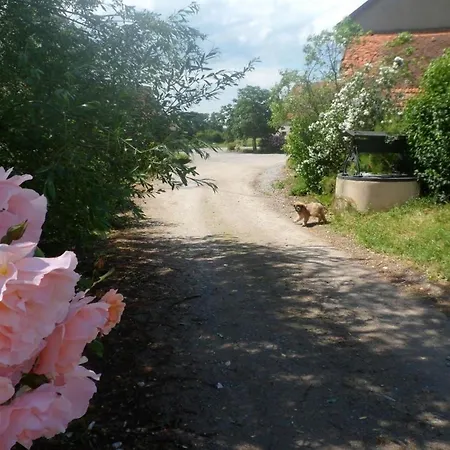 別荘 Champetre Avec Piscine Et Wifi A - Fr-1-489-231 Souvigny