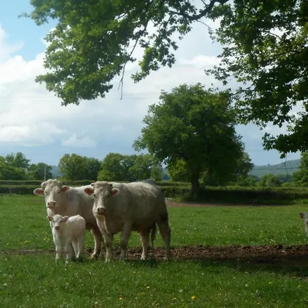 Champetre Avec Piscine Et Wifi A - Fr-1-489-231 Souvigny