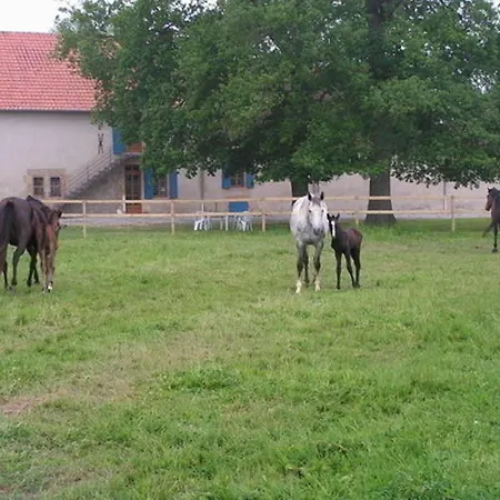 Дом отдыха Champetre Avec Piscine Et Wifi A - Fr-1-489-231 *