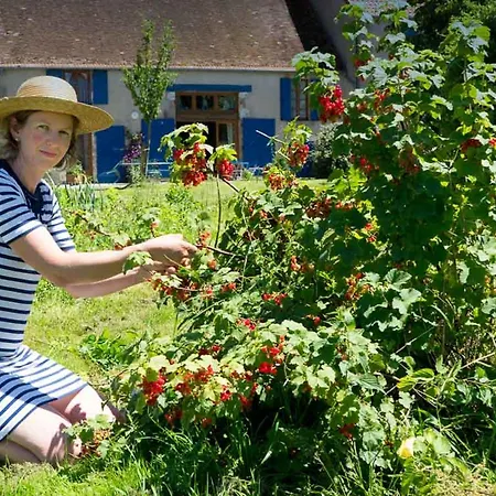 Дом отдыха Champetre Avec Piscine Et Wifi A - Fr-1-489-231 Souvigny