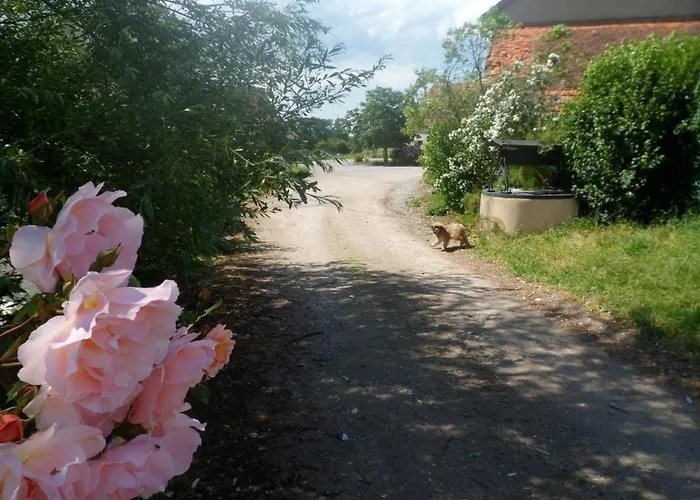 Дом отдыха Champetre Avec Piscine Et Wifi A - Fr-1-489-231 Souvigny