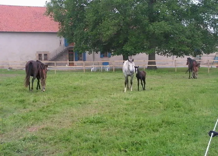 Дом отдыха Champetre Avec Piscine Et Wifi A - Fr-1-489-231 *