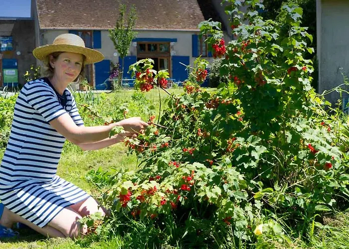 Дом отдыха Champetre Avec Piscine Et Wifi A - Fr-1-489-231 Souvigny